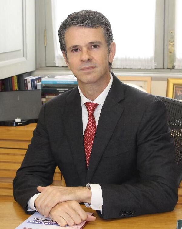 Árvores altas