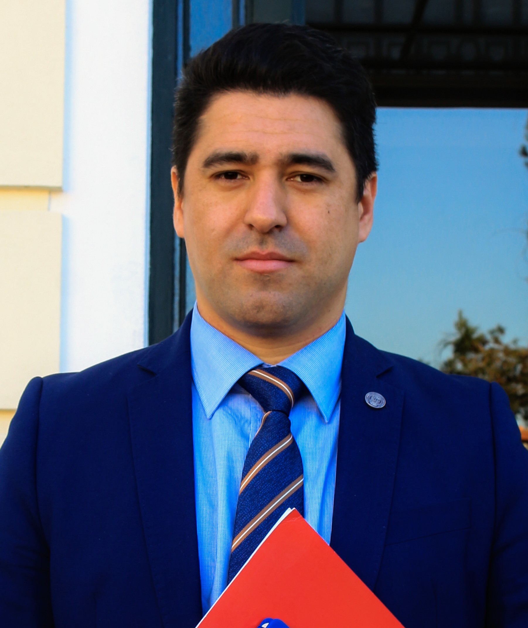 Árvores altas