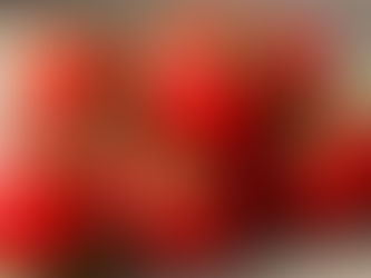 Discover Our Sicilian Cherry Tomato Sauce from Pachino