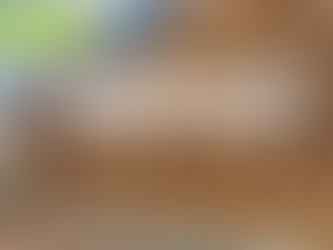 The Hidden Costs of New Construction: What Ontario Buyers Need to Know About Closing Adjustments