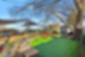 IMG_2233.jpeg