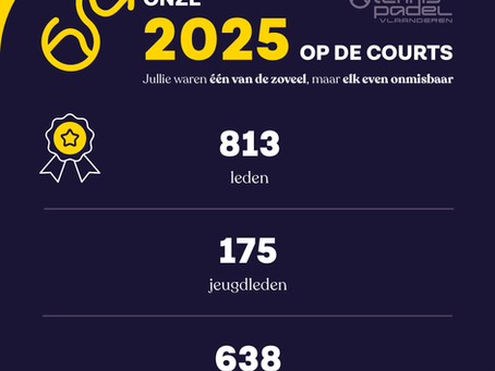 Het recordjaar 2025
