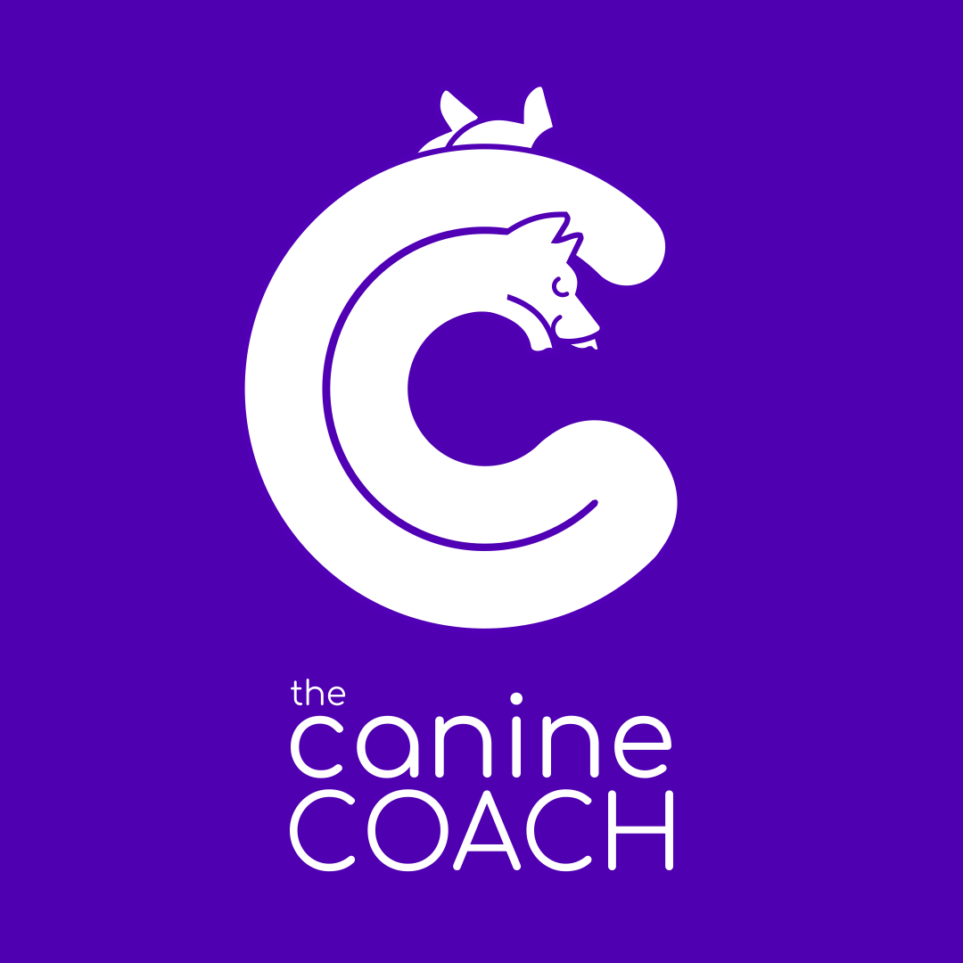 Writer: Kate Yeates | The Canine Coach