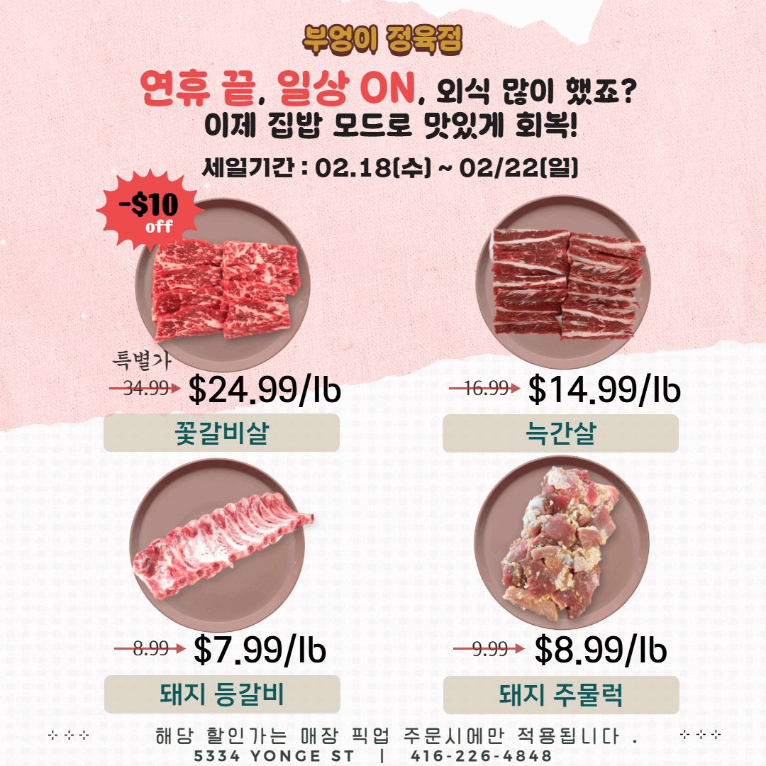 부엉이 02.18(한)G.gif