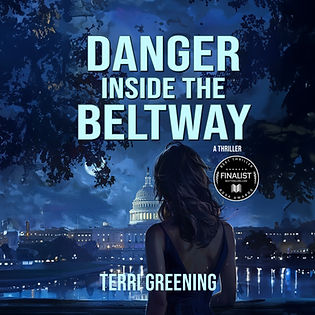 Danger inside the Beltway Audio Award.jpg