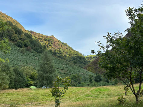 MORNING FLOW: Carrying the Wild into Autumn 