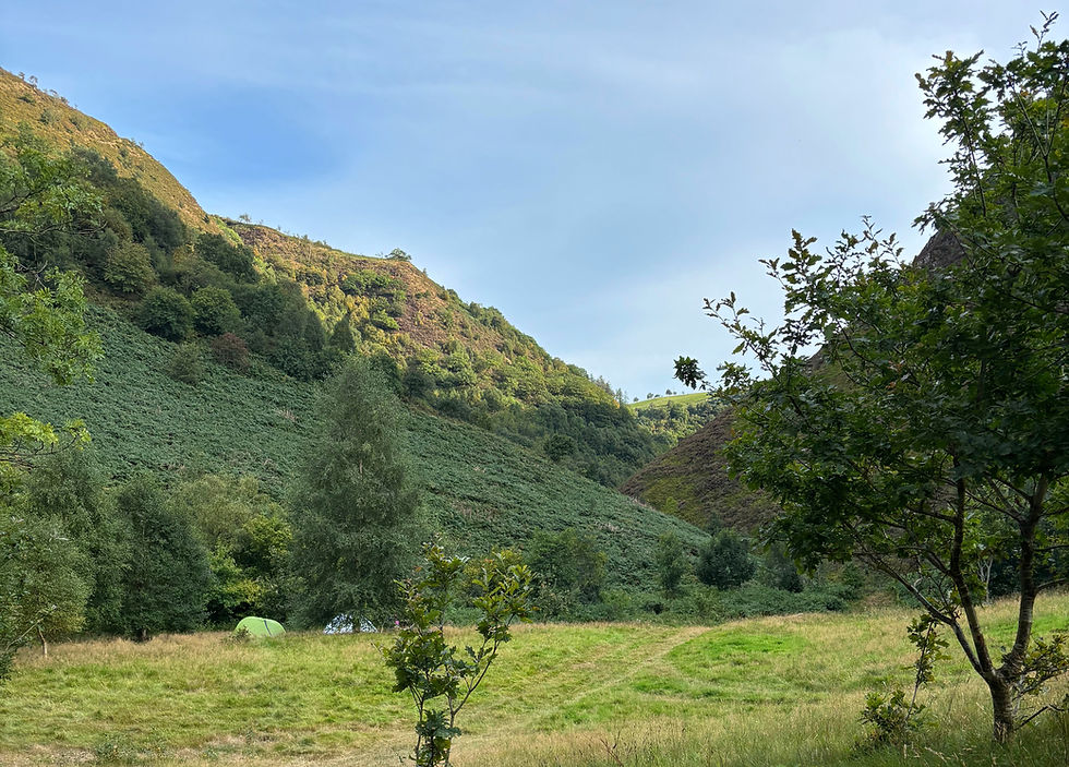 MORNING FLOW: Carrying the Wild into Autumn