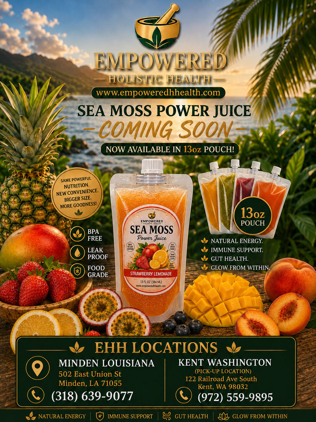 Sea Moss Power Juice 13oz Pouches (Case of 5)