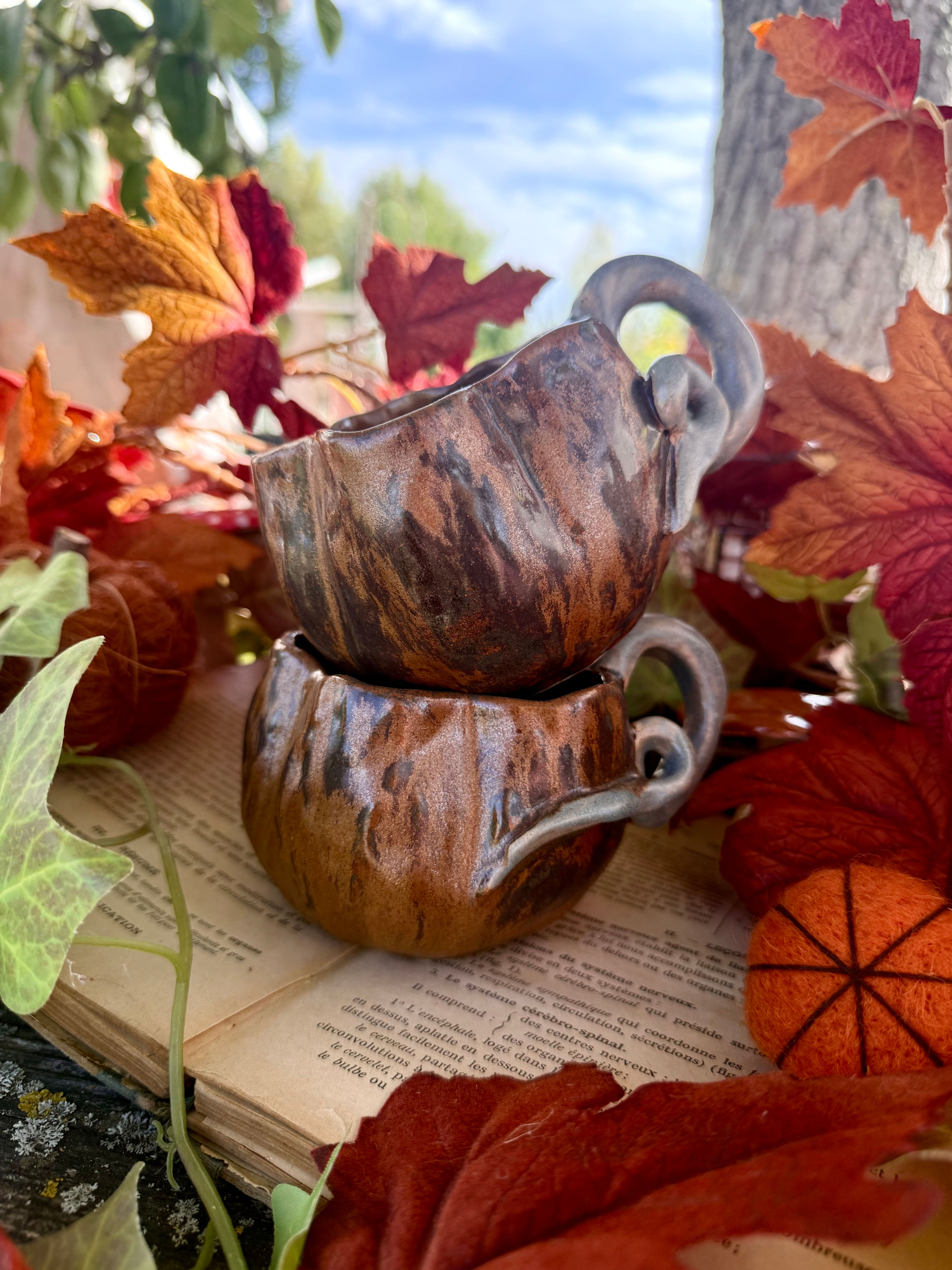 Le tasse Citrouille d’automne