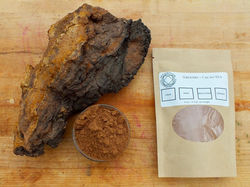 chaga and cococa with large chaga musrro