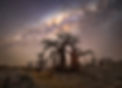 KPG_8394.jpg