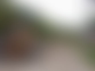 Llega programa de bacheo a seis colonias más de Victoria.