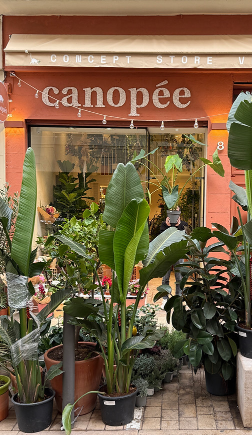 Canopée Marseille Opéra - Jardinerie Urbaine.JPG