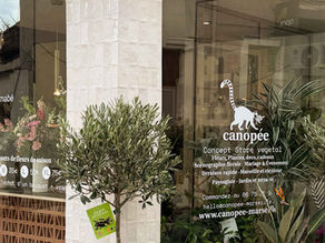 Horaires Canopée Saint-Barnabé : Le nouveau fleuriste du 12ème arrondissement de Marseille 🌿🌸