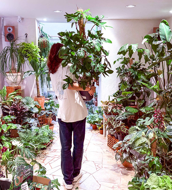Canopée Marseille - Braderie d'été.JPG