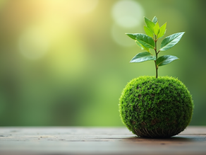 Création kokedama Marseille : participe à des ateliers uniques et créatifs