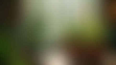 Tu cherches une boutiques de plantes à Marseille ?  Horaires et informations sur Canopée Marseille