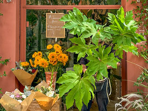 Offrir des fleurs : un geste simple et chaleureux à Marseille
