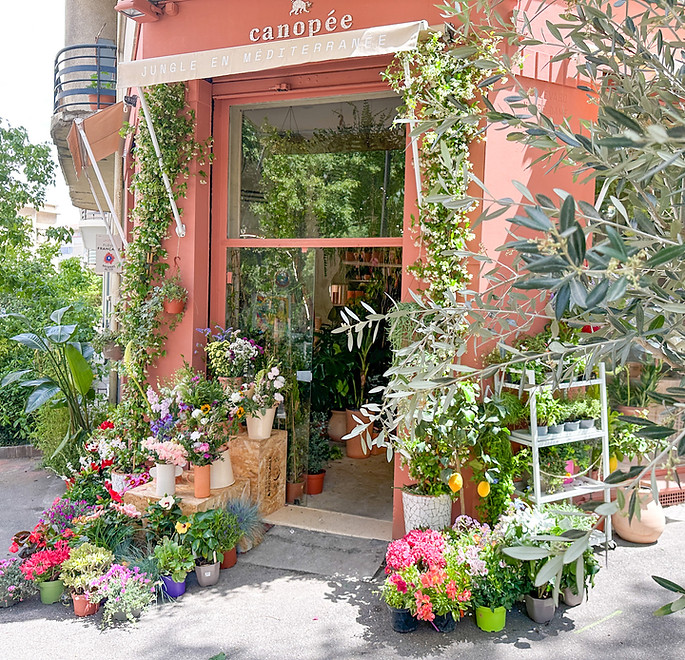 Canopée Marseille - jarnierie Urbaine & Fleuriste Engagé à Marseille42.JPG