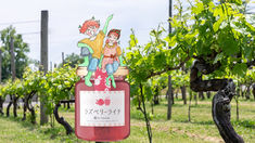 日本樂散步:喜悅邂逅神話語 久世福的St. Cousair果醬