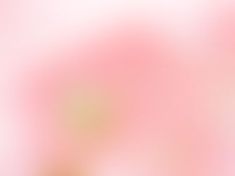 喜樂婆婆恩典冊：過年——豐富，溫暖，感恩！