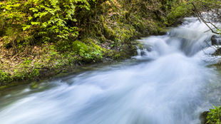 銀髮好僕人:溪水旁的祝福