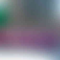 廣州大學建築系畢業班來港實習。