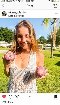 Customer from festival FL feedback StarA