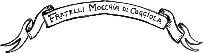 LOGO_VECTO.png