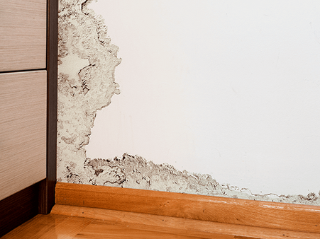 Infiltração na parede