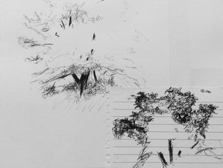 Sketching Trees - exercise 1