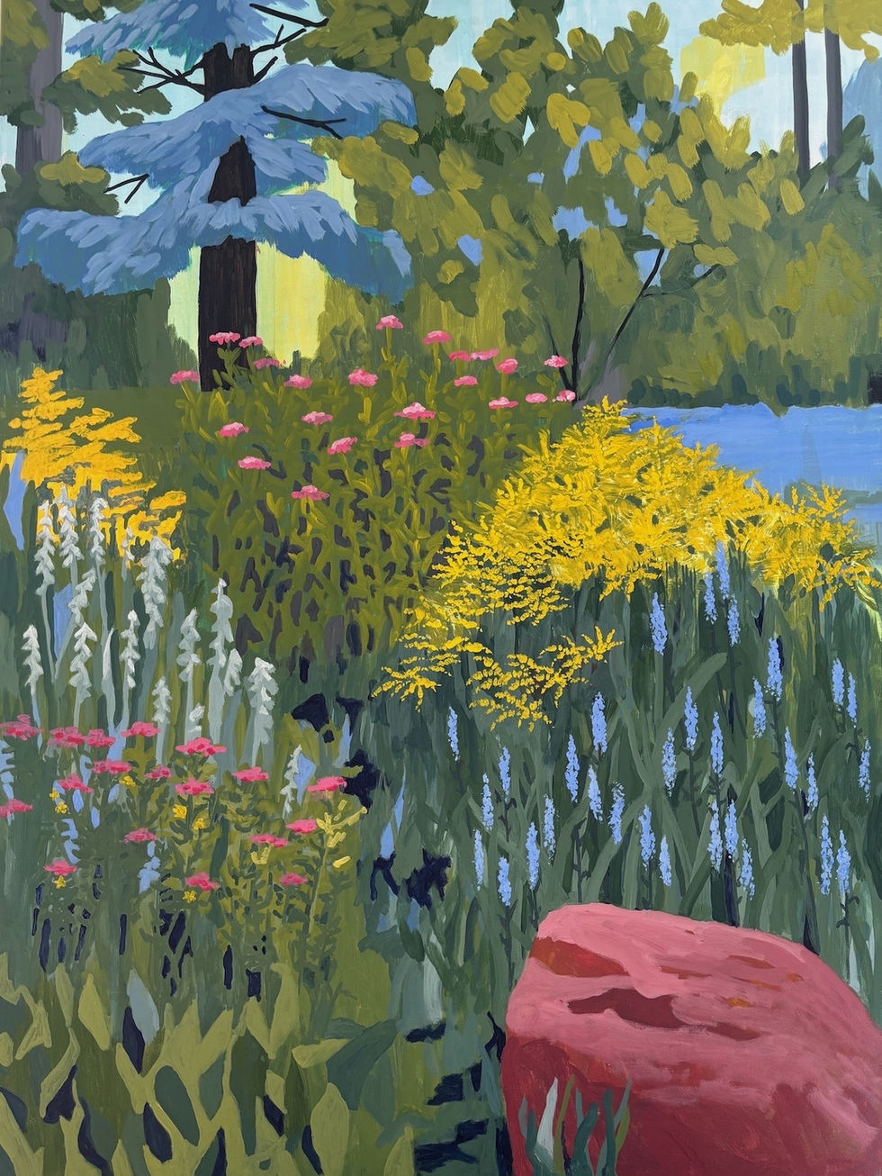 Blue Spruce, Red Rock