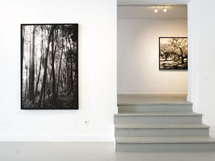 Claudia Sorbac, "Interlaced"