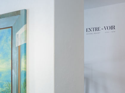Mickael Doucet, "Entrevoir"