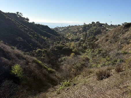 10/26: Los Leones Trail w/ Angela Godoy-Fernandez