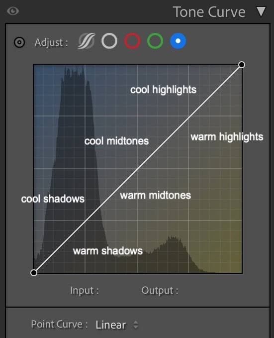 Lightroom Tone Curve Cheat Sheet by Cienna So Photo owner of Jaide & Jett Presets