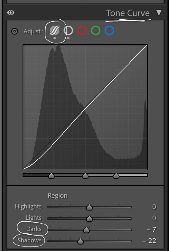 Tone Curve Region Explained in Lightroom