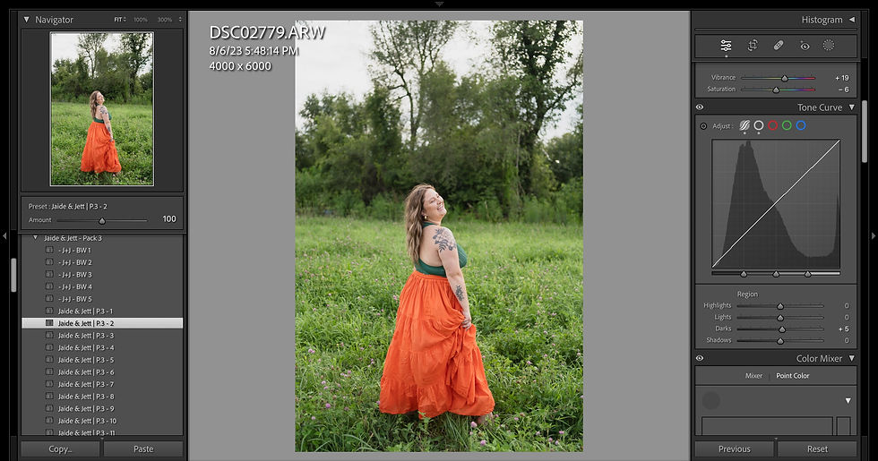 Tone Curve Explained in Lightroom