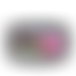 Canne UR Urinary St/Ox dinde et abats en sauce