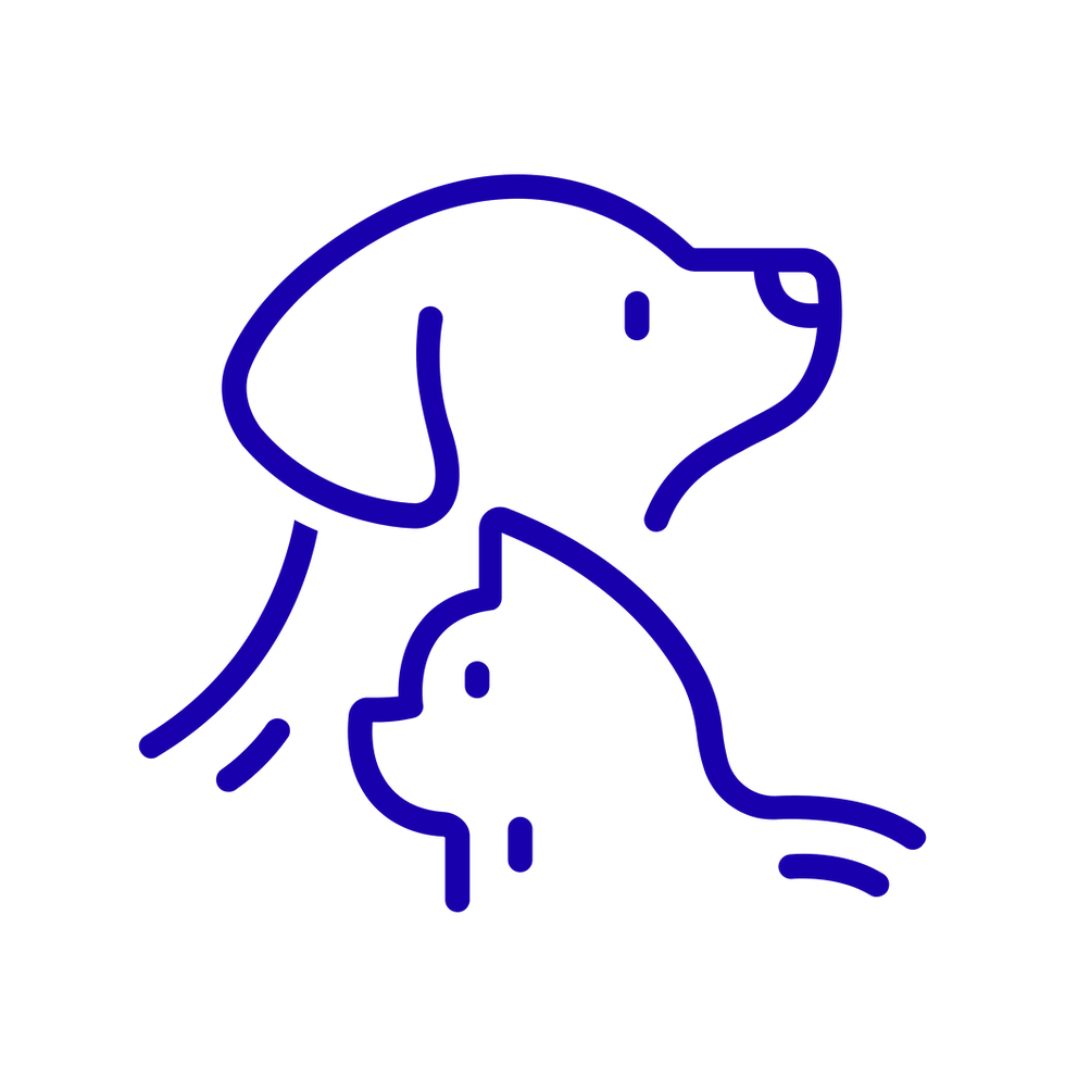 Création sans titre (14).png