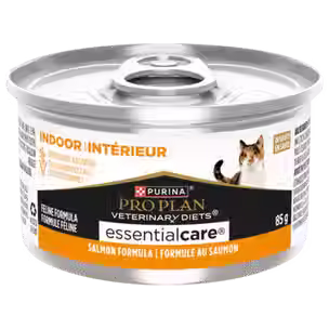 Canne pour chats d’intérieur adultes Essential care