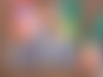 Samanta Borini aciona Câmara contra Tody da Unidiesel por declarações em plenário