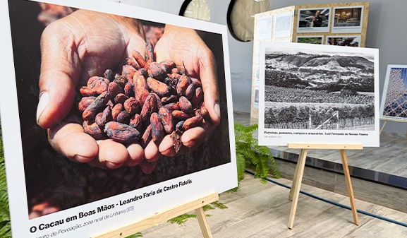 Painéis de fotografias da exposição sobre indicações geográficas em Birigui