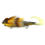 Thumbnail: Hero Hog Lite Magnum Model Golden Perch