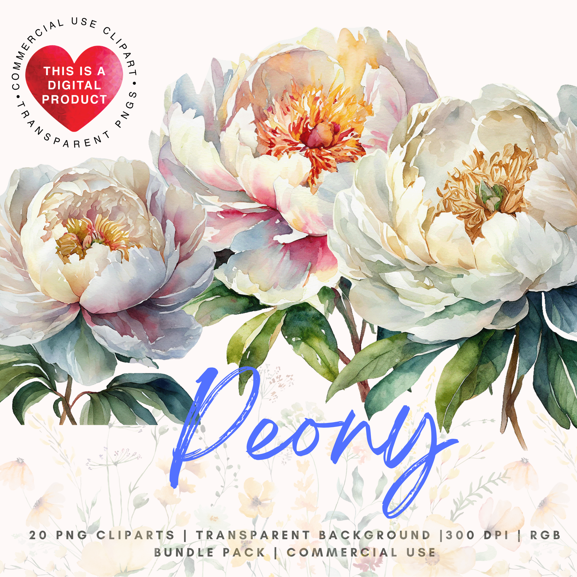 Peony PNG Clip Art
