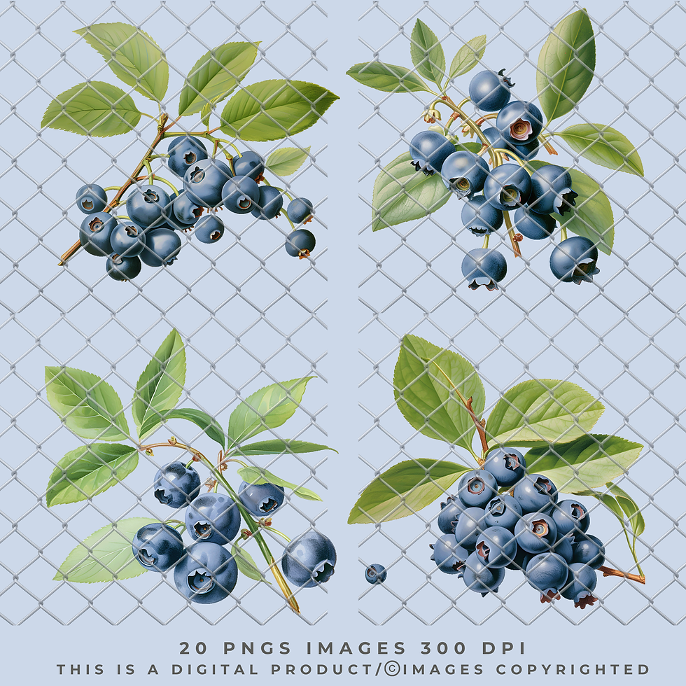 Thumbnail: Blueberries PNG