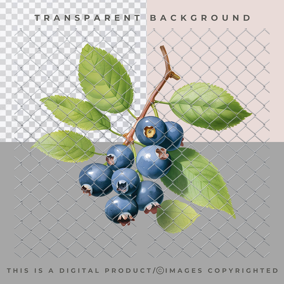 Thumbnail: Blueberries PNG