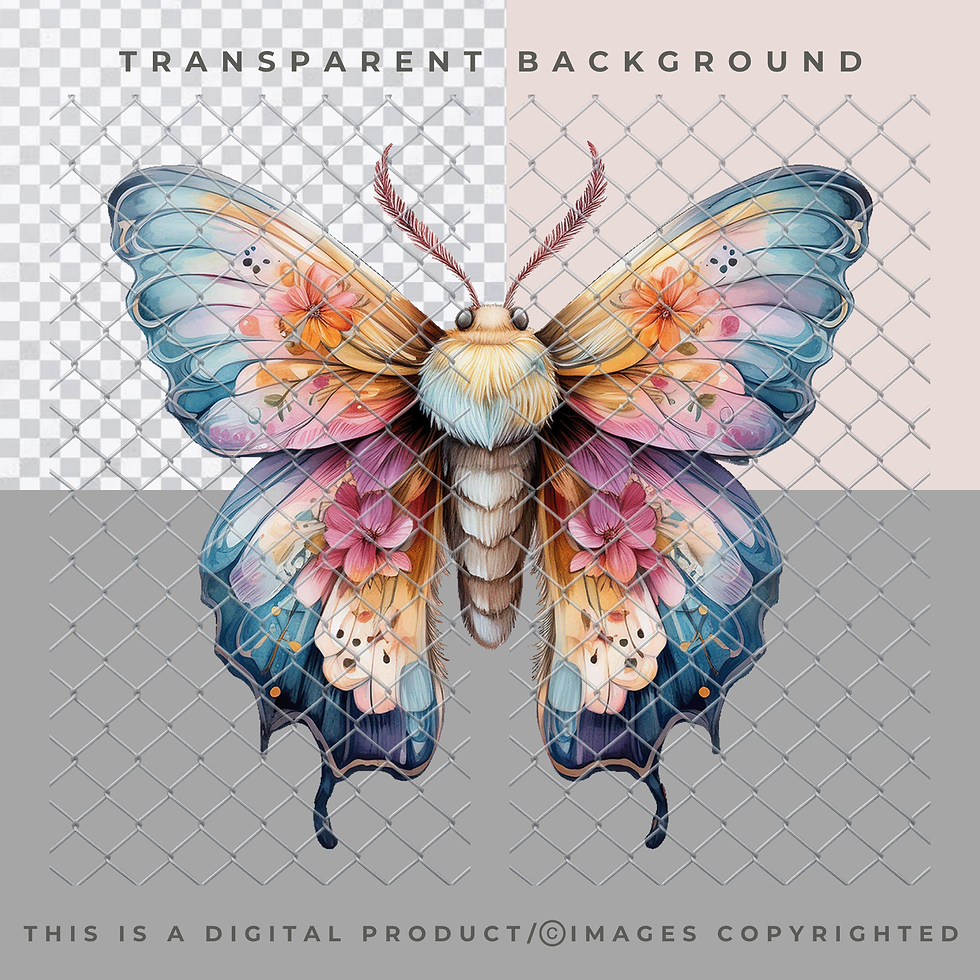 Thumbnail: Moth PNG Clip Art