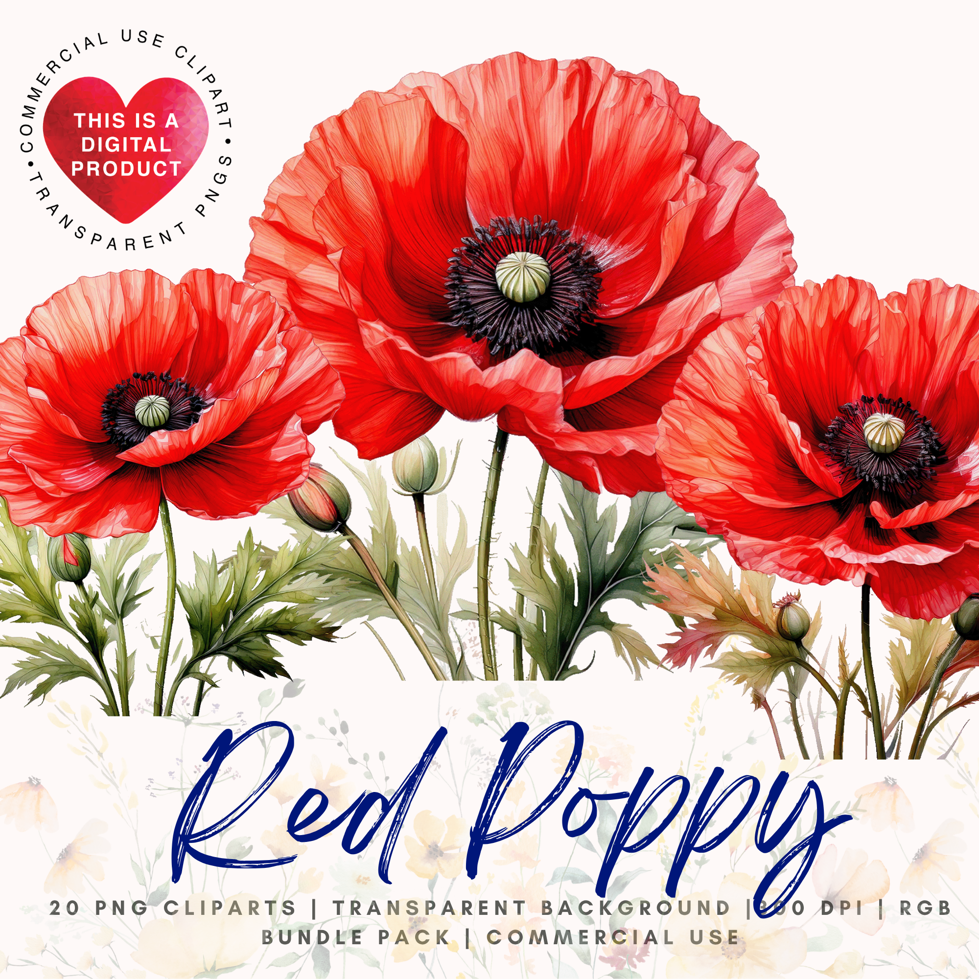 Red Poppy PNG Clip Art