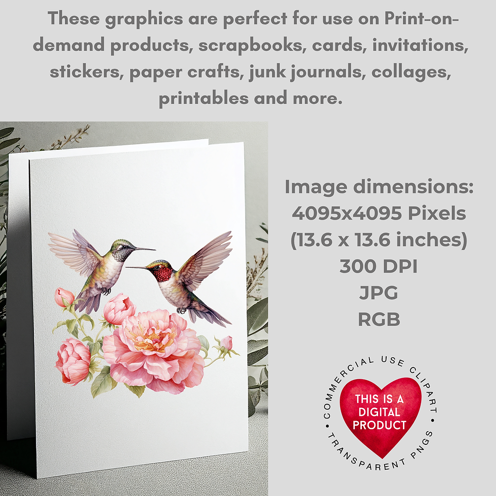 Thumbnail: Hummingbirds PNG Clip Art